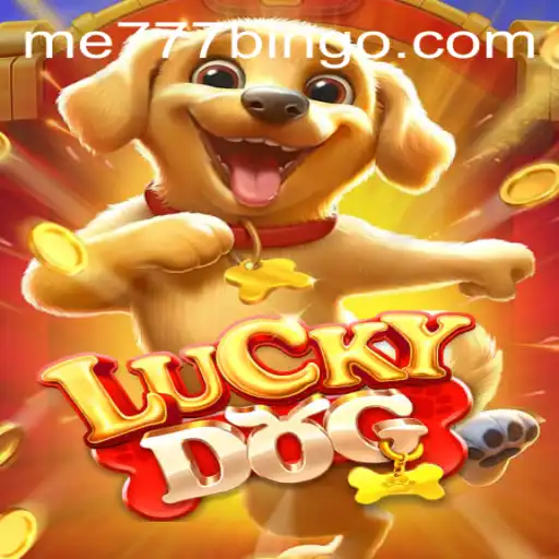 LuckyDog: The Exciting New Game Everyone's Talking About